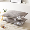 Velvet Feather Pillow