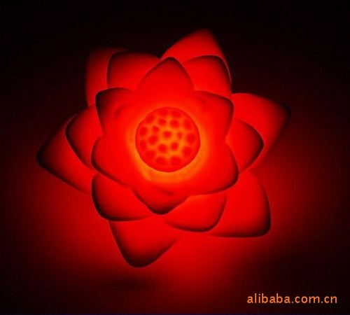 Colorful Lotus Night Light and Wish Lamp