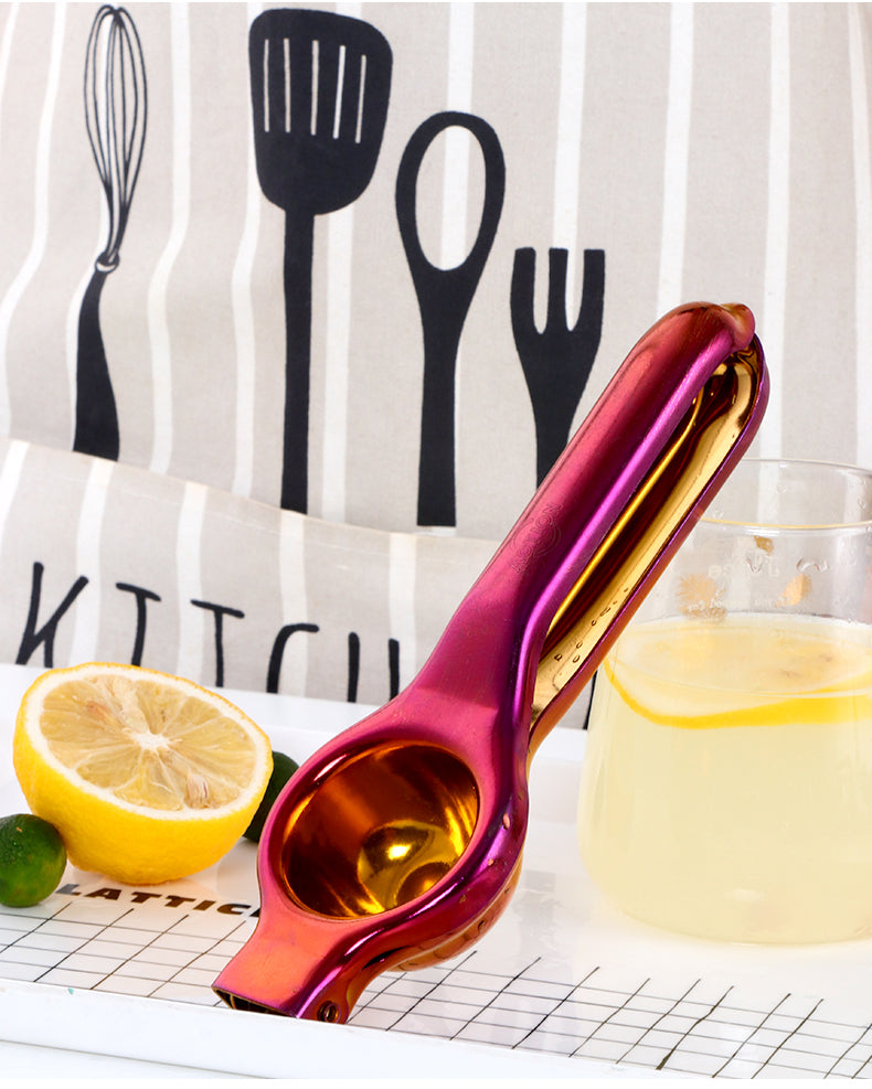 Manual Stainless Steel Juicer for Citrus and Fruits