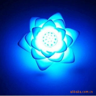 Colorful Lotus Night Light and Wish Lamp